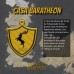 LFS063 - Casa Baratheon